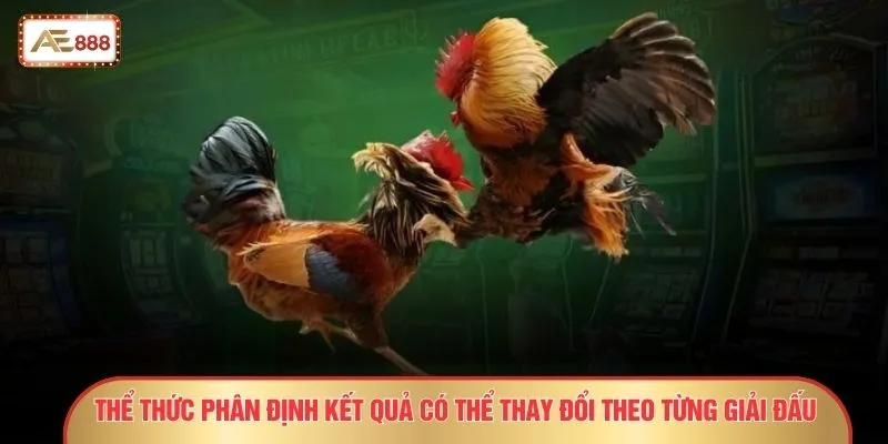 Thuật Ngữ Đá Gà - 30 Khái Niệm Sát Phạt Dễ “Bay Màu” 3 Thể thức phân định kết quả có thể thay đổi theo từng giải đấu