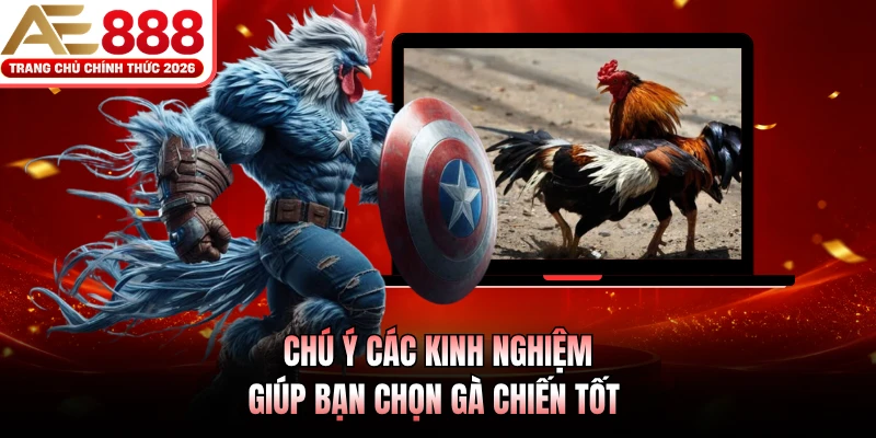 Đá Gà Cựa Sắt AE888 Đỉnh Cao 2026, Tỷ Lệ Thưởng Cực Lớn 4 Chú ý các kinh nghiệm giúp bạn chọn gà chiến tốt